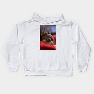 Dog Bertas Kids Hoodie